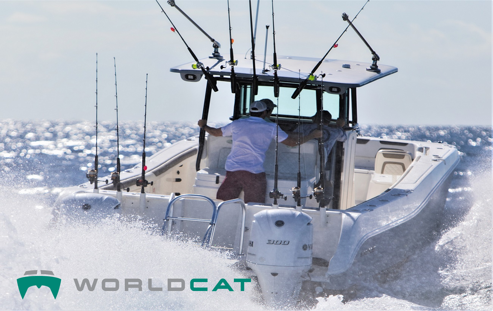 WORLD CAT MIDDLE EAST